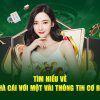 Sân chơi cá cược hàng đầu tại Việt Nam W88you